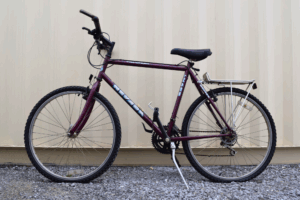 vélo de marque navada (25 po)