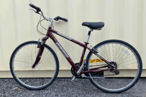 vélo de marque giant (24 po)