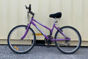 vélo de marque giant (24 po)