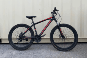 vélo de marque giant (24 po)