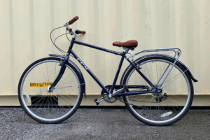 vélo de marque giant (24 po)